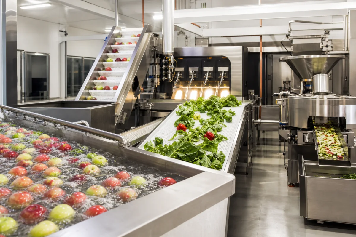 Fruit and vegetable processing line